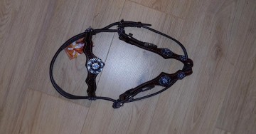 46932557811158154372182551476756676186720019n